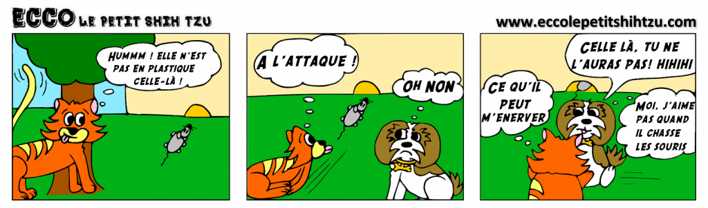 ecco-shihtzu-planche2FR