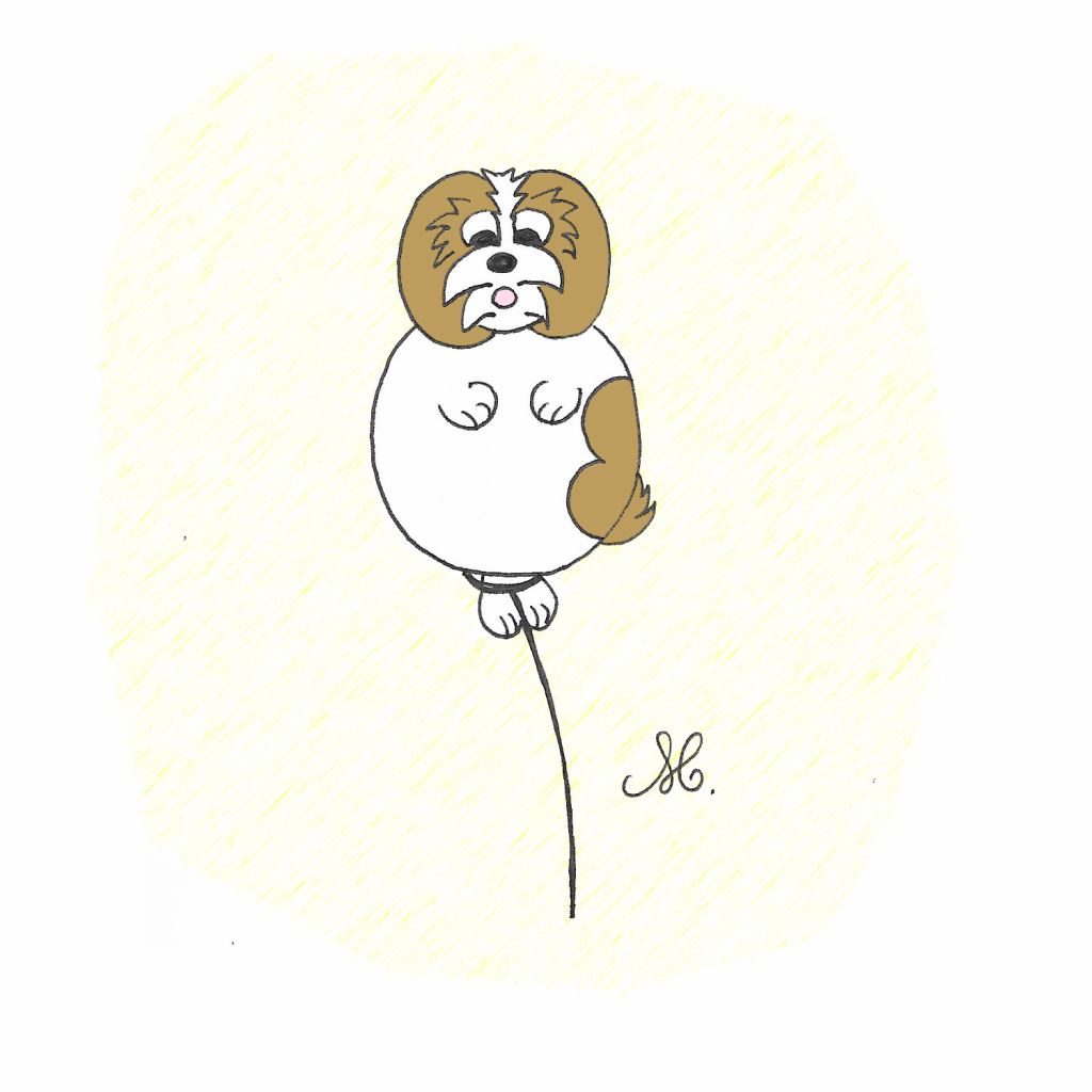 illustrations pour enfants