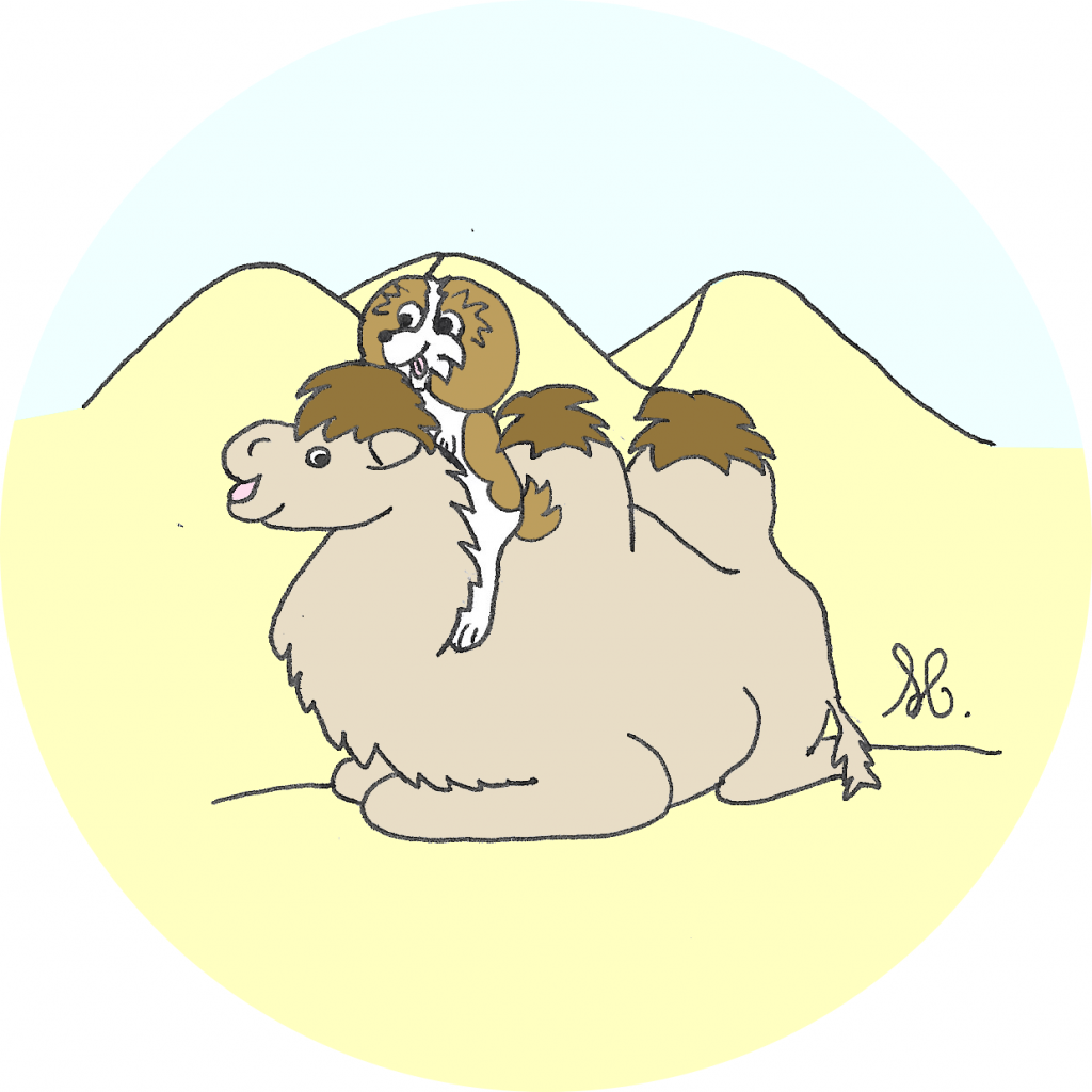 dessin chameau rigolo