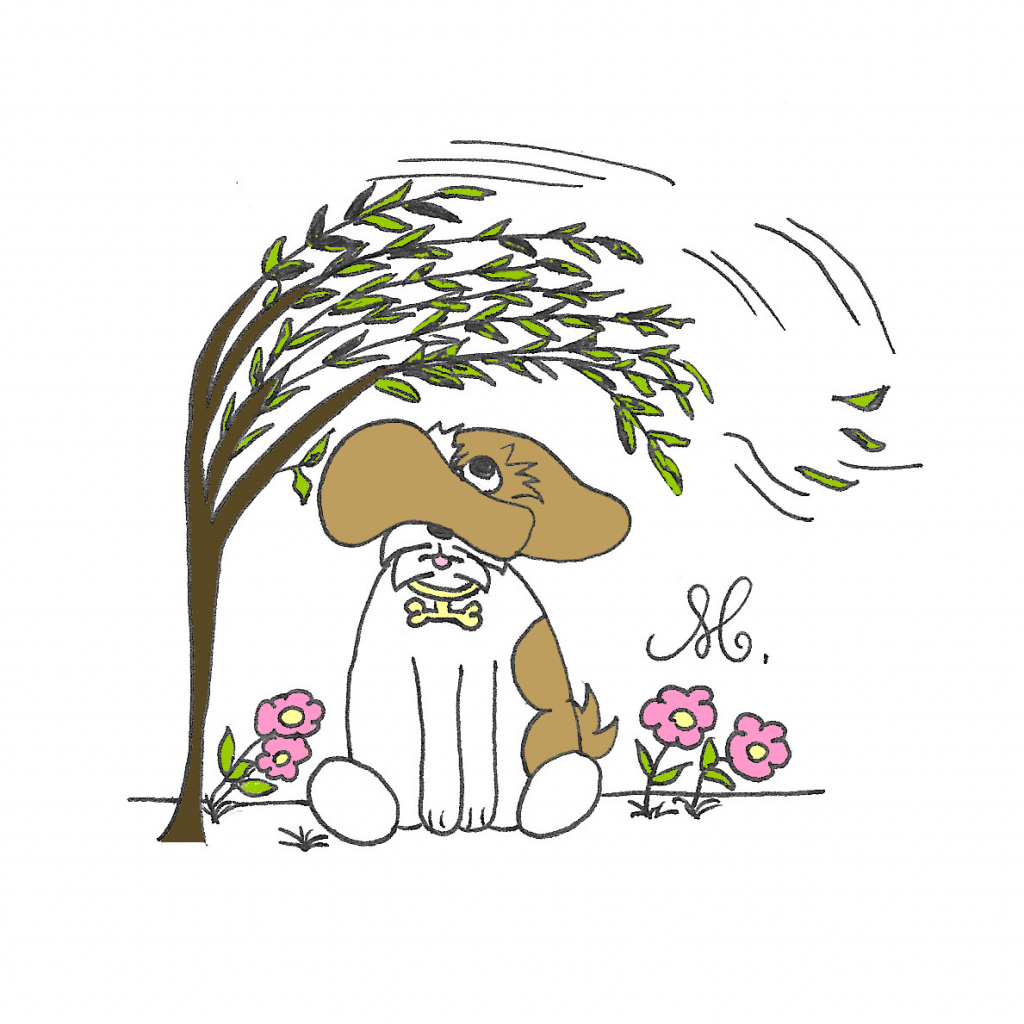 Illustratrice jeunesse