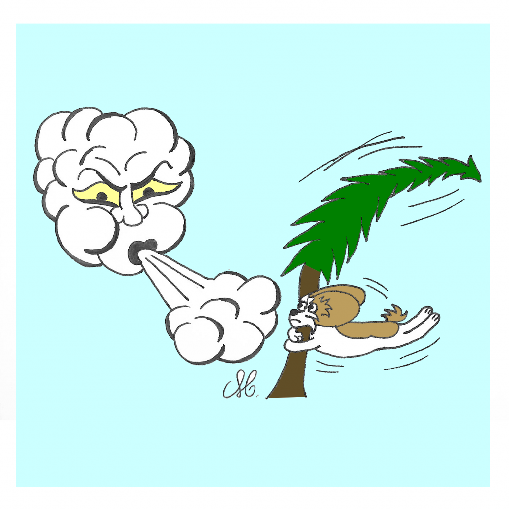 traverser les tempêtes