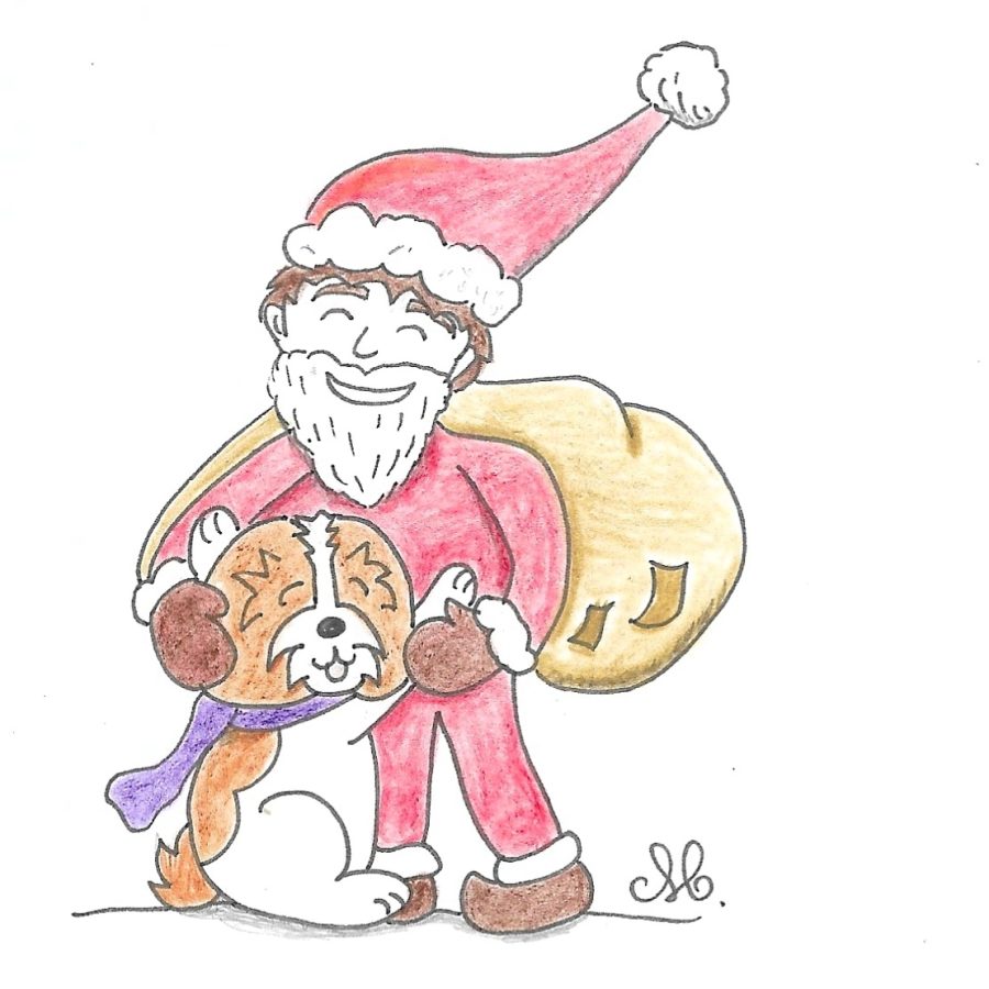 La rencontre avec le père Noël