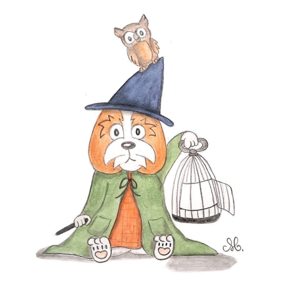 Ecco le chien magicien